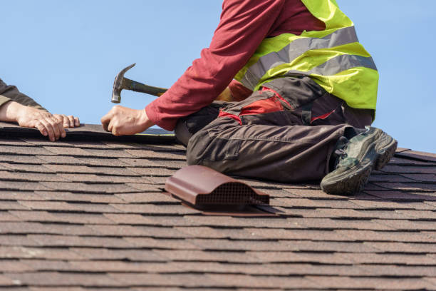 Best Residential Roofing Contractor  in Webberville, MI