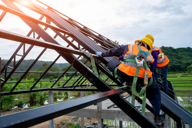 Best Storm Damage Roof Repair  in Webberville, MI