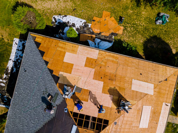 Sealant for Roof in Webberville, MI