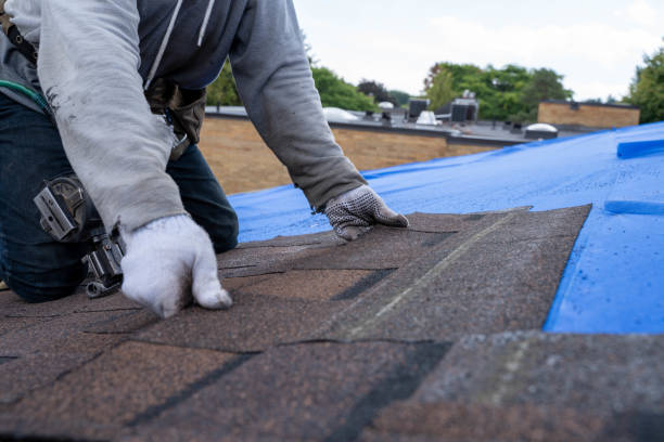 Best Roof Gutter Cleaning  in Webberville, MI