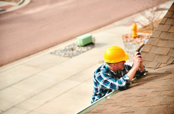 Best Metal Roofing Contractor  in Webberville, MI