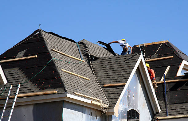 Best Gutter Installation and Roofing  in Webberville, MI