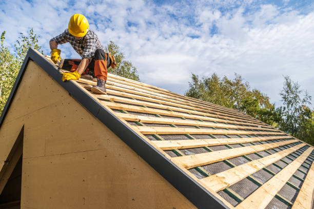 Best New Roof Installation  in Webberville, MI