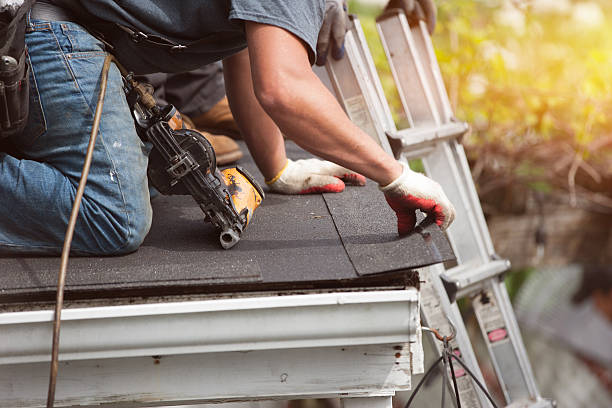Best Roof Gutter Cleaning  in Webberville, MI