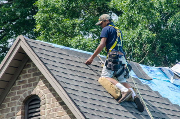 Best Commercial Roofing Services  in Webberville, MI
